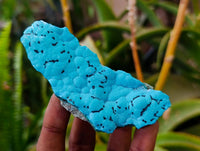 Natural Botryoidal Malachite with Chrysocolla x 6 From Congo - Toprock Gemstones and Minerals 