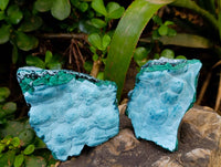 Natural Botryoidal Malachite with Chrysocolla x 6 From Congo - Toprock Gemstones and Minerals 