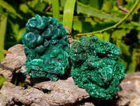 Natural Silky Malachite Specimens x 12 From Kasompe, Congo - Toprock Gemstones and Minerals 