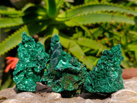 Natural Silky Malachite Specimens x 12 From Kasompe, Congo - Toprock Gemstones and Minerals 