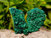 Natural Silky Malachite Specimens x 12 From Kasompe, Congo - Toprock Gemstones and Minerals 
