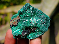 Natural Silky Malachite Specimens x 12 From Kasompe, Congo - Toprock Gemstones and Minerals 