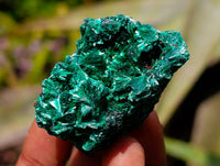 Natural Silky Malachite Specimens x 12 From Kasompe, Congo - Toprock Gemstones and Minerals 