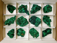 Natural Silky Malachite Specimens x 12 From Kasompe, Congo - Toprock Gemstones and Minerals 
