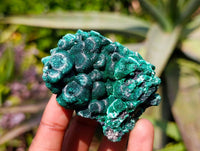 Natural Silky Malachite Specimens x 12 From Kasompe, Congo - Toprock Gemstones and Minerals 