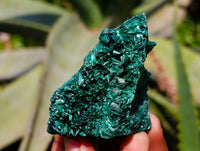 Natural Silky Malachite Specimens x 12 From Kasompe, Congo - Toprock Gemstones and Minerals 
