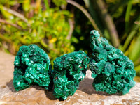 Natural Silky Malachite Specimens x 12 From Kasompe, Congo - Toprock Gemstones and Minerals 