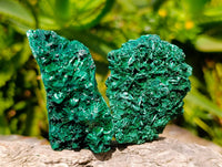 Natural Silky Malachite Specimens x 12 From Kasompe, Congo - Toprock Gemstones and Minerals 