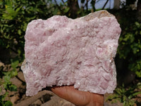Natural Rare Rhodocalcite Specimens x 1 From Congo - Toprock Gemstones and Minerals 