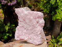 Natural Rare Rhodocalcite Specimens x 1 From Congo - Toprock Gemstones and Minerals 