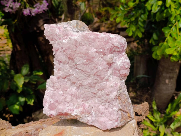 Natural Rare Rhodocalcite Specimens x 1 From Congo - Toprock Gemstones and Minerals 