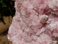Natural Rare Rhodocalcite Specimens x 1 From Congo - Toprock Gemstones and Minerals 