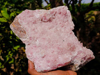 Natural Rare Rhodocalcite Specimens x 1 From Congo - Toprock Gemstones and Minerals 