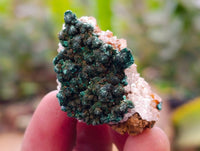 Natural Ball Malachite and Drusy Quartz On Dolomite Specimens x 23 From Kambove, Congo