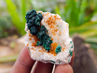 Natural Ball Malachite and Drusy Quartz On Dolomite Specimens x 23 From Kambove, Congo