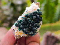 Natural Ball Malachite and Drusy Quartz On Dolomite Specimens x 23 From Kambove, Congo
