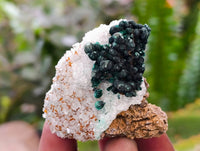 Natural Ball Malachite and Drusy Quartz On Dolomite Specimens x 23 From Kambove, Congo