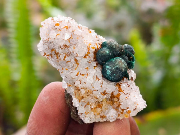 Natural Ball Malachite and Drusy Quartz On Dolomite Specimens x 23 From Kambove, Congo