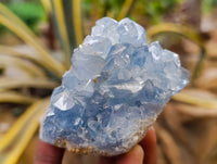 Natural Blue Celestite Crystal Specimens x 4 From Sakoany, Madagascar