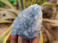 Natural Blue Celestite Crystal Specimens x 4 From Sakoany, Madagascar