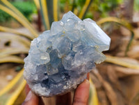 Natural Blue Celestite Crystal Specimens x 4 From Sakoany, Madagascar
