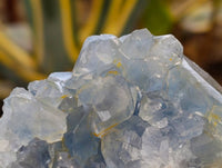 Natural Blue Celestite Crystal Specimens x 4 From Sakoany, Madagascar