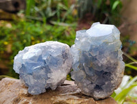 Natural Blue Celestite Crystal Specimens x 4 From Sakoany, Madagascar