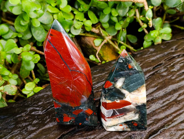 Polished Bloodstone Points x 3 From Swaziland