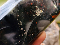 Polished Bloodstone Points x 3 From Swaziland