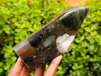 Polished Bloodstone Points x 3 From Swaziland