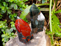 Polished Bloodstone Points x 3 From Swaziland
