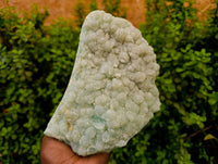 Natural Botryoidal Prehnite Specimens x 1 From Beaufort West, South Africa