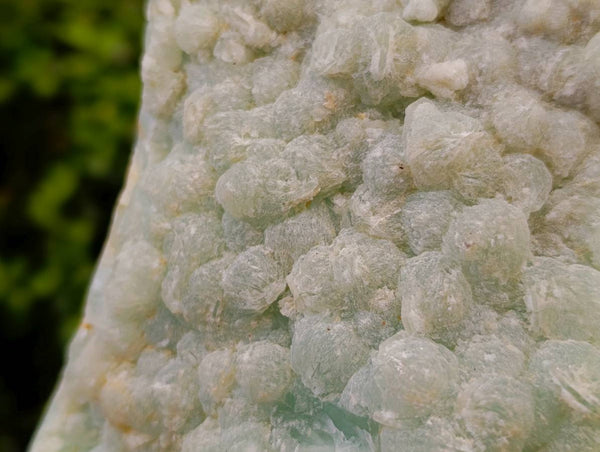Natural Botryoidal Prehnite Specimens x 1 From Beaufort West, South Africa
