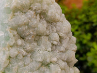 Natural Botryoidal Prehnite Specimens x 1 From Beaufort West, South Africa
