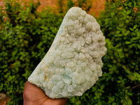 Natural Botryoidal Prehnite Specimens x 1 From Beaufort West, South Africa