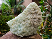 Natural Botryoidal Prehnite Specimens x 1 From Beaufort West, South Africa