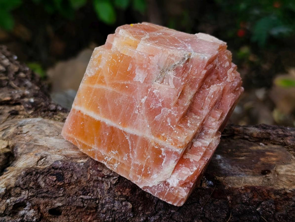 Natural Sunset Orange Calcite Specimens x 3 From Spitzkop, Namibia - Toprock Gemstones and Minerals 