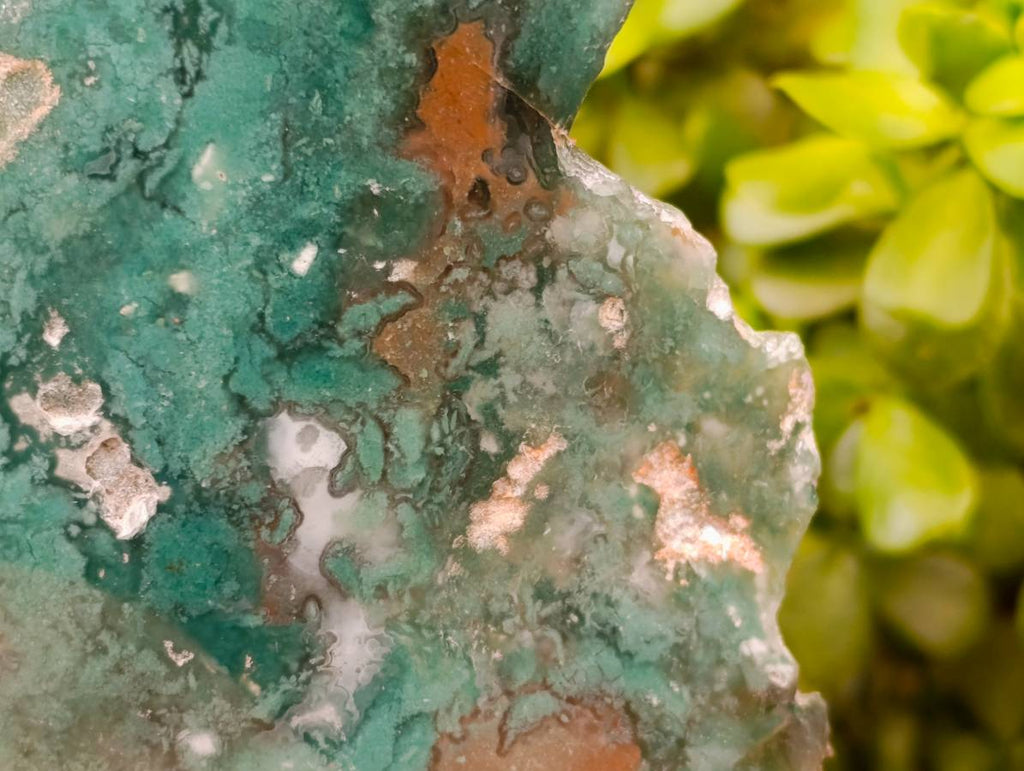 Polished On One Side Mtorolite Plates x 2 From Mutorashanga, Zimbabwe - Toprock Gemstones and Minerals 