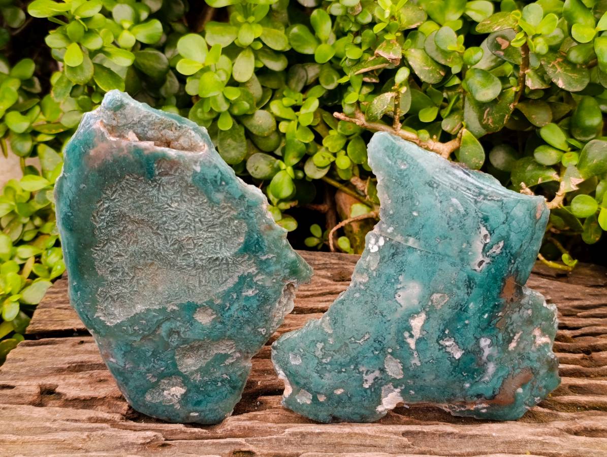 Polished On One Side Mtorolite Plates x 2 From Mutorashanga, Zimbabwe - Toprock Gemstones and Minerals 