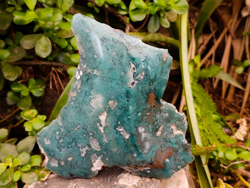 Polished On One Side Mtorolite Plates x 2 From Mutorashanga, Zimbabwe - Toprock Gemstones and Minerals 