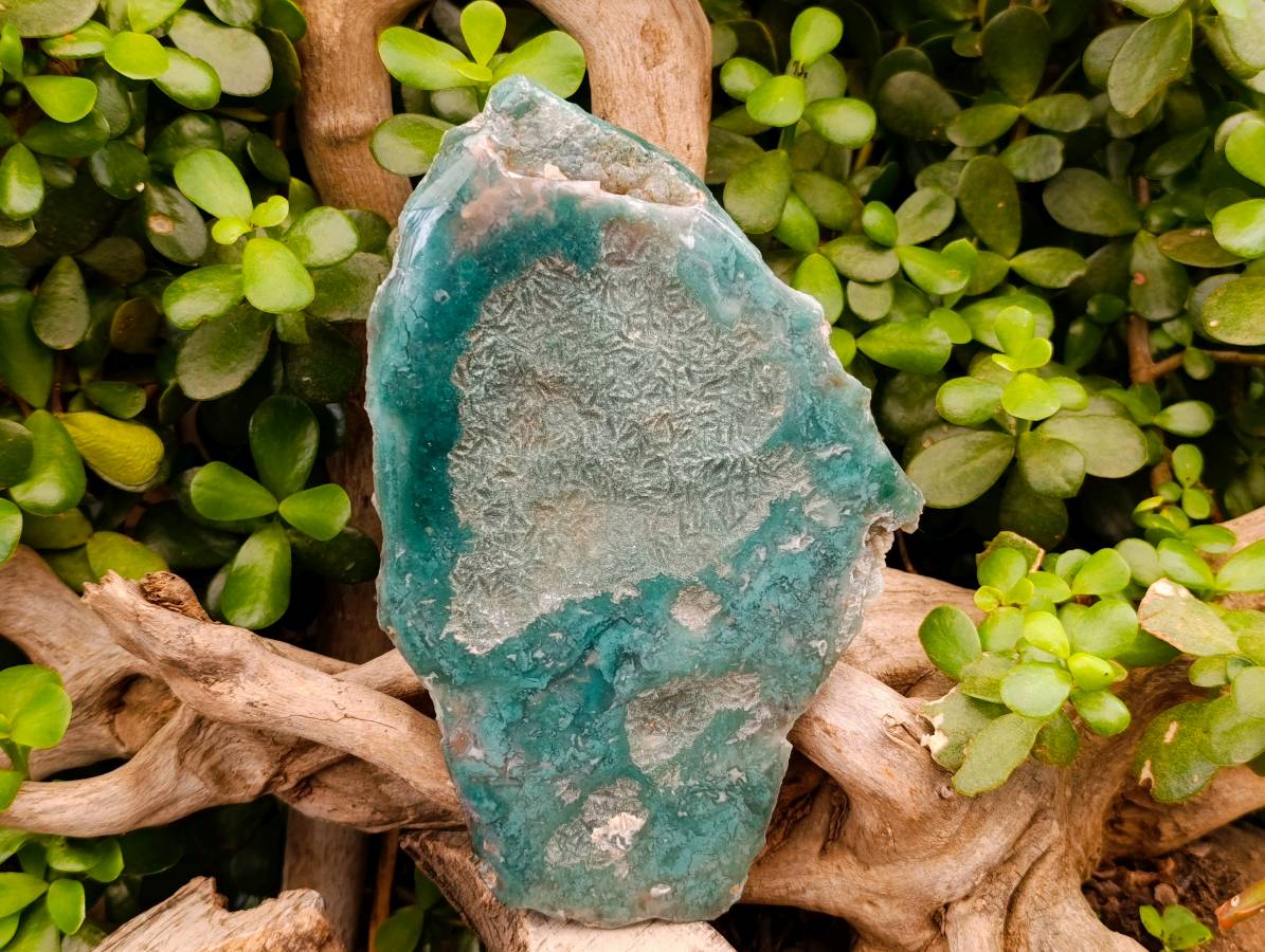 Polished On One Side Mtorolite Plates x 2 From Mutorashanga, Zimbabwe - Toprock Gemstones and Minerals 