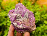 Natural Metallic Purpurite Specimens x 12 From Erongo, Namibia