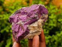 Natural Metallic Purpurite Specimens x 12 From Erongo, Namibia