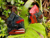 Polished Bloodstone Points x 3 From Swaziland
