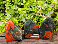 Polished Bloodstone Points x 3 From Swaziland