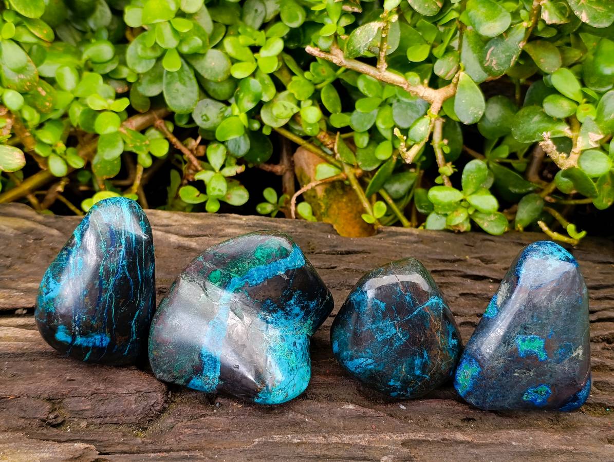 Polished Shattuckite Free Forms x 4 From Namibia - Toprock Gemstones and Minerals 