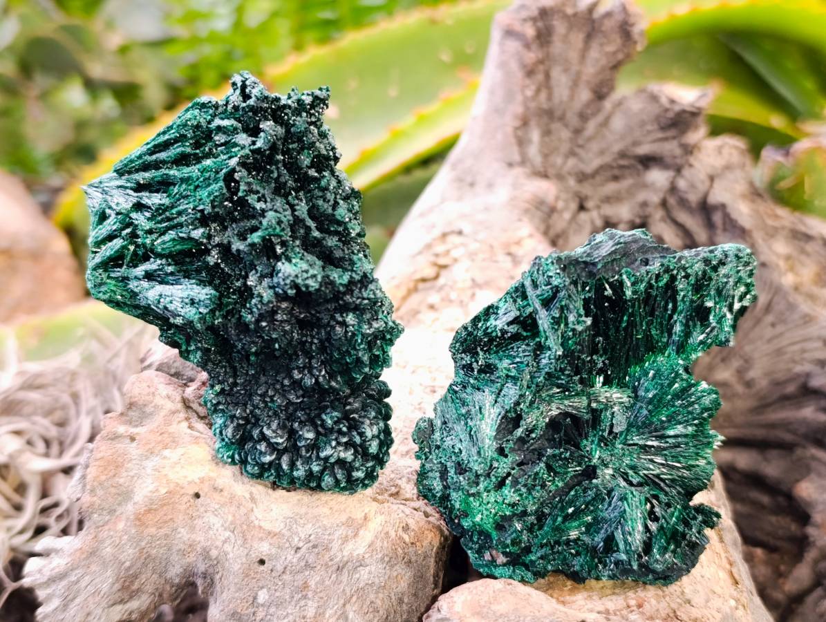 Natural Silky Malachite Specimens x 6 From Kasompe, Congo - Toprock Gemstones and Minerals 