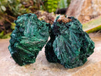 Natural Silky Malachite Specimens x 6 From Kasompe, Congo - Toprock Gemstones and Minerals 
