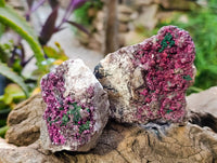 Natural Salrose Cobaltion Dolomite with Malachite Specimens x 6 From Kakanda, Congo - Toprock Gemstones and Minerals 