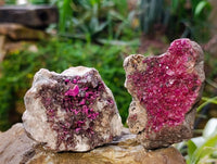 Natural Salrose Cobaltion Dolomite with Malachite Specimens x 6 From Kakanda, Congo - Toprock Gemstones and Minerals 